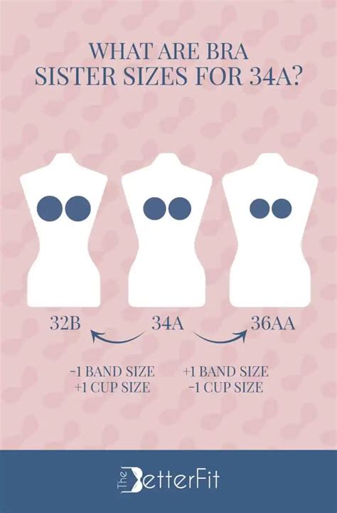 34b boobs|Celebrity Breast & Bra Sizes Revealed